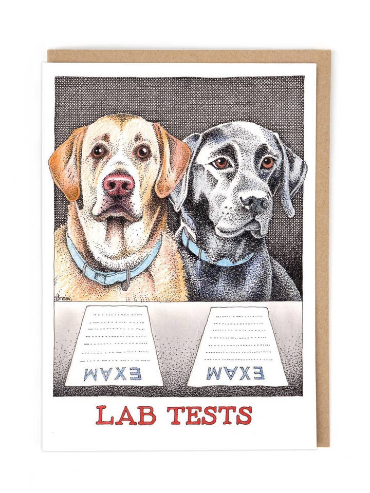 LAB TESTS for wholesale by Cath Tate Cards