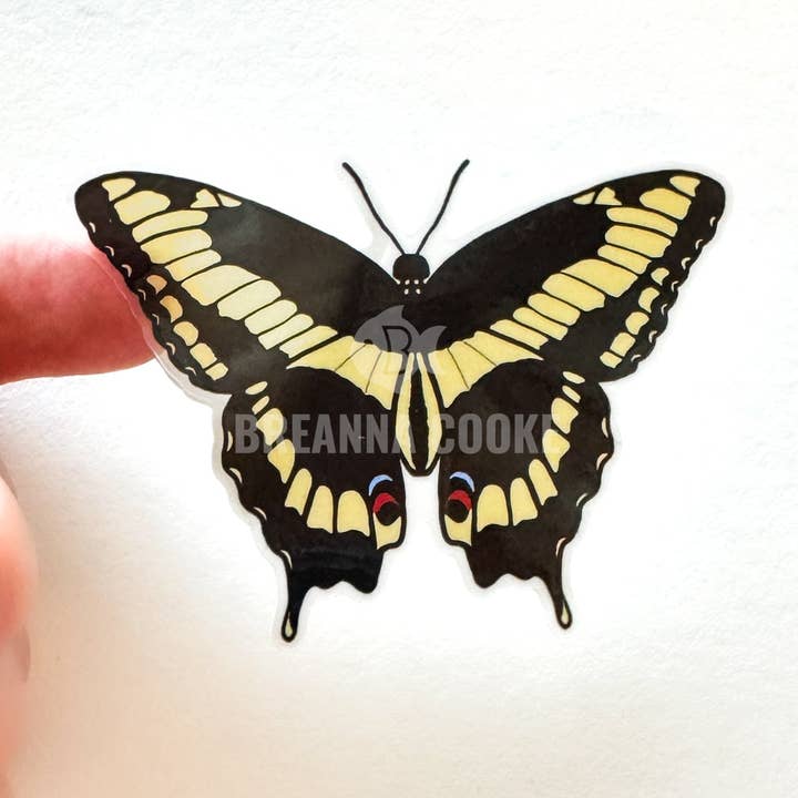 Giant Swallowtail Butterfly | Clear Sticker | 3 x 2 in for wholesale by Breanna Cooke