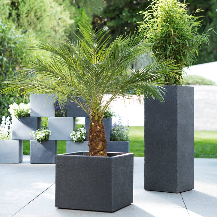 Scheurich - Wholesale Plant Pot - C-Cube High 240 plastic flower pot/planter3