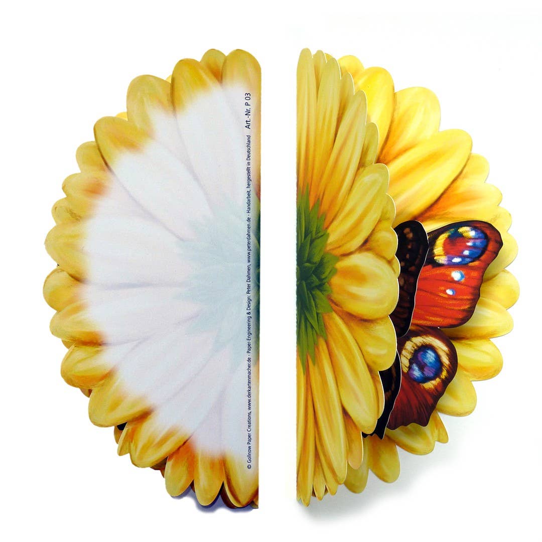 Gollnow Paper Creations - Wholesale Everyday Greeting Card - New! pop-up card butterfly1