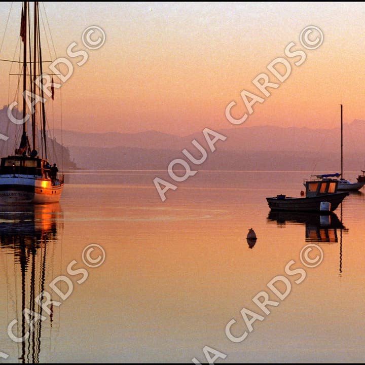 1232 - Evening With Mallory for wholesale by Aqua Cards