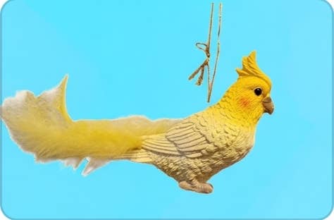 Sea Creations - Wholesale Ornament - Cockatiel with Feathers Ornament0