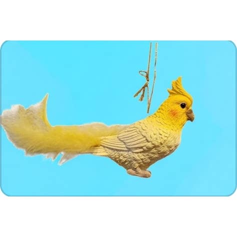 Sea Creations - Wholesale Ornament - Cockatiel with Feathers Ornament