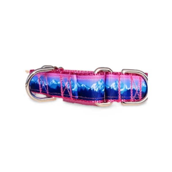 Rocky Mountain Hound - Wholesale Pet Collar - Dog - 1" Pink Mountain Dog Collar, Leash, or Martingale