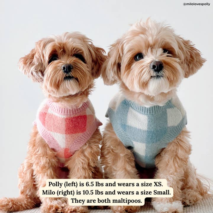 Lucy & Co. - Wholesale Pet Sweater - Dog - Take a Bow Sweater2