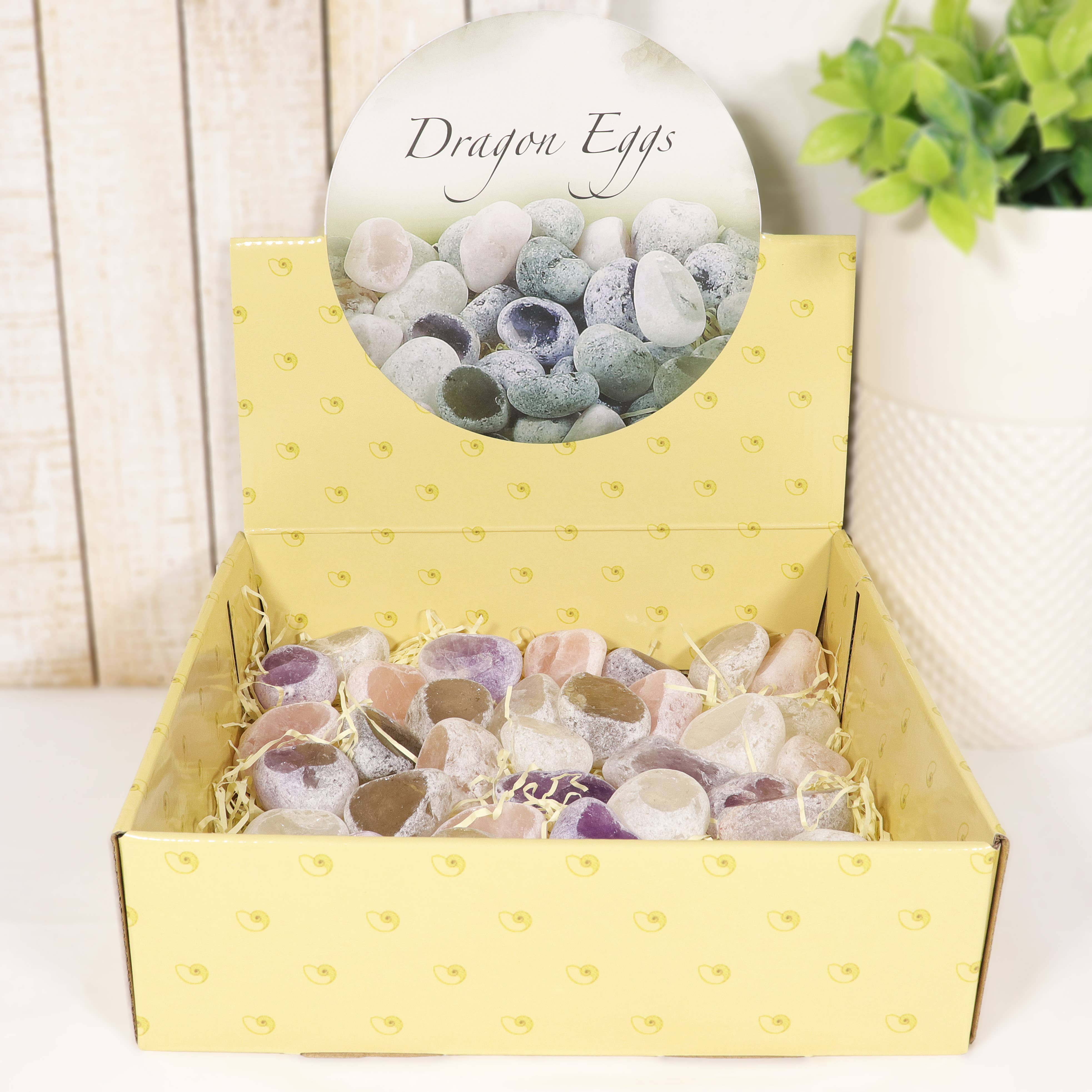 Natures Artifacts Inc – wholesale Andlig sten/kristall – Display med drak ägg [40 stycken]0