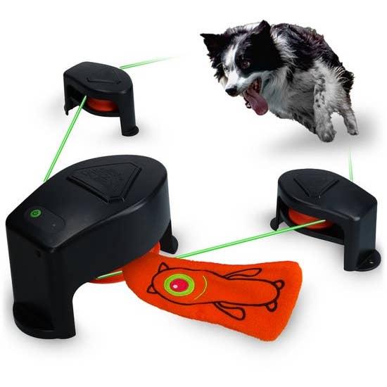 Dog Comets Star Chaser for wholesale by Hofman Animal Care