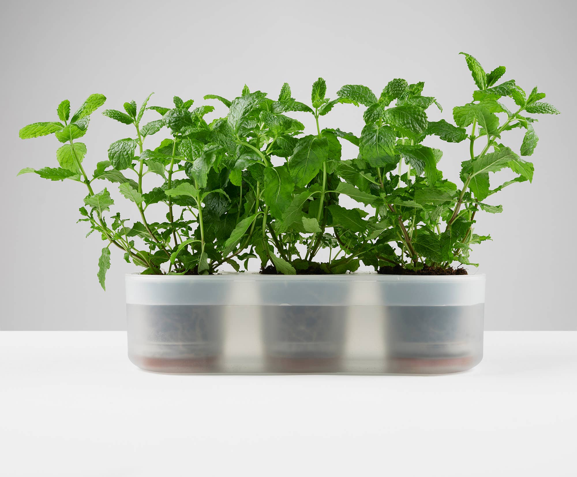 Boskke - Vente Pot - Till Planter - Triple - pot de fleurs auto-arrosage1