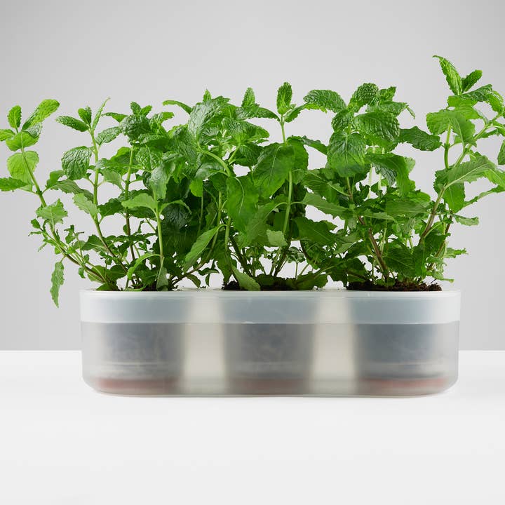 Boskke - Vente Pot - Till Planter - Triple - pot de fleurs auto-arrosage1