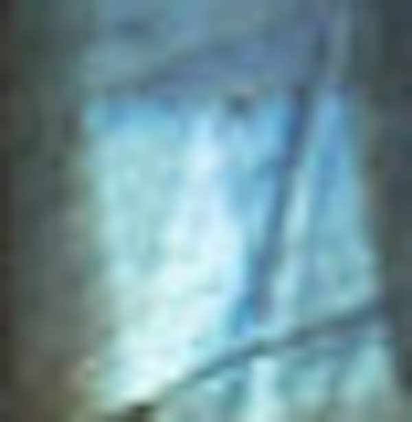 Austin Titus Studio – Engroshandel Halskæde med vedhæng – Petite Dråbeformet Kant Halskæder3