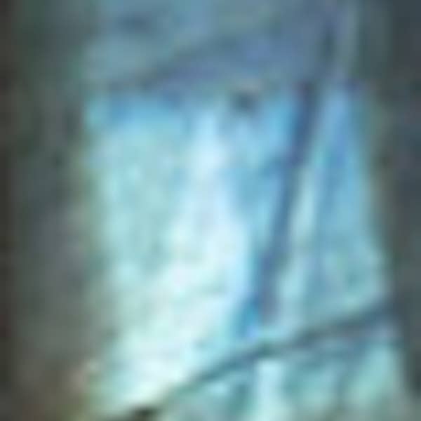 Austin Titus Studio – Engroshandel Halskæde med vedhæng – Petite Dråbeformet Kant Halskæder3