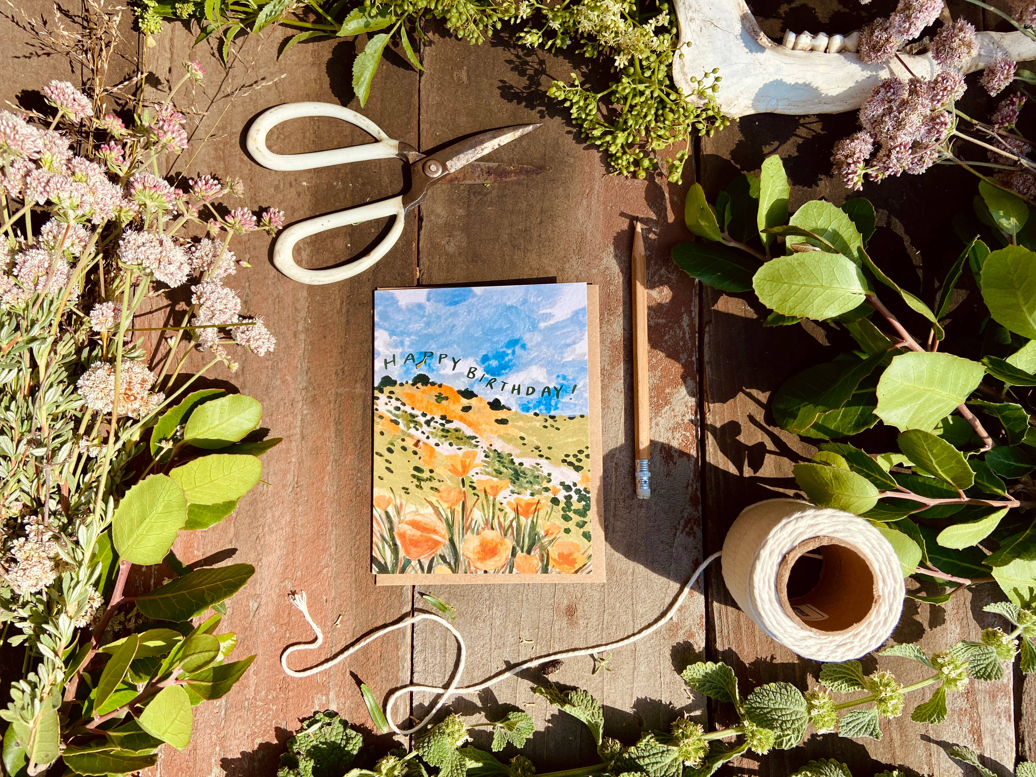 Little Salt Wagon – Großhandel Geburtstagskarten – California Golden Poppy Wildflower Happy Birthday Karte1