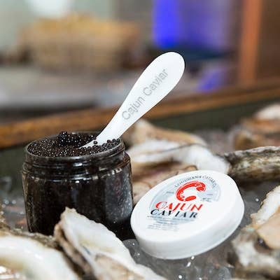 Cajun Caviar Mother of Pearl Spoon for wholesale by Louisiana Caviar