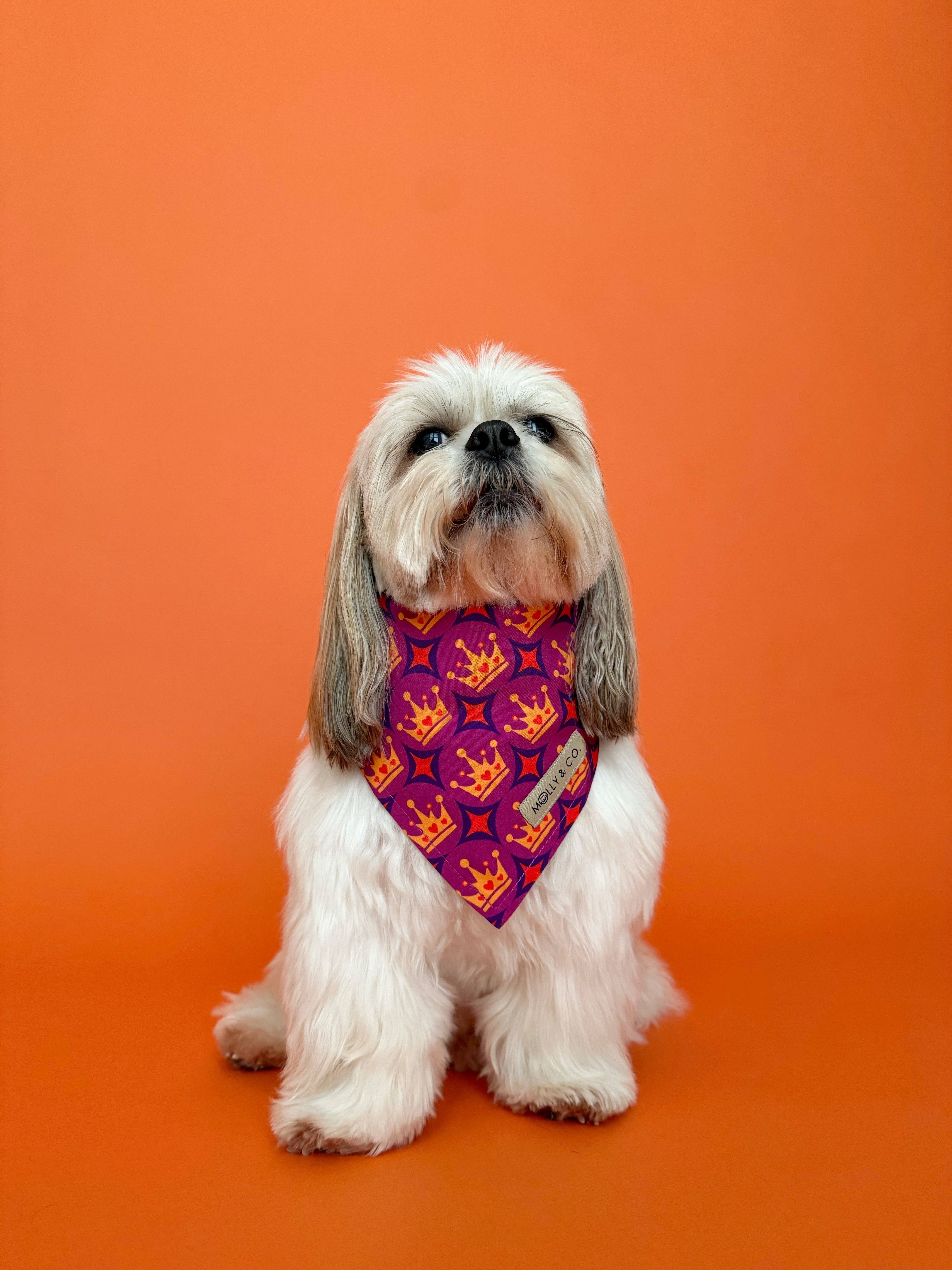 Molly & Co. - Wholesale Pet Bandana - Dog - Royal Queen - Dog Bandana2