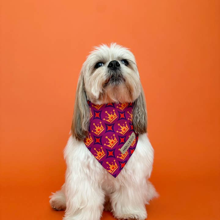 Molly & Co. – wholesale Pet bandana – Dog – Royal Queen - Dog Bandana2