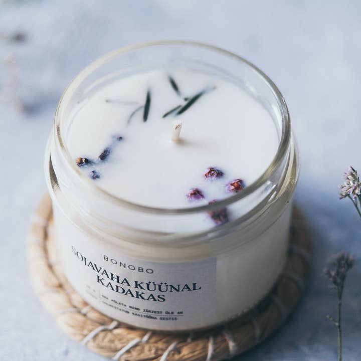 Juniper candle M (40h) for wholesale by Bonobo_cosmetics