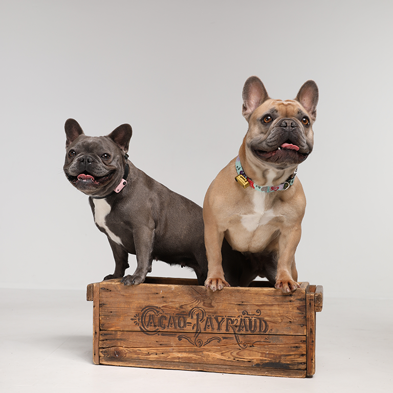 TicklessUSA - Wholesale Pet Flea/Tick Spray - Tickless Mini Dog Chemical-Free Tick and Flea Repellent 6