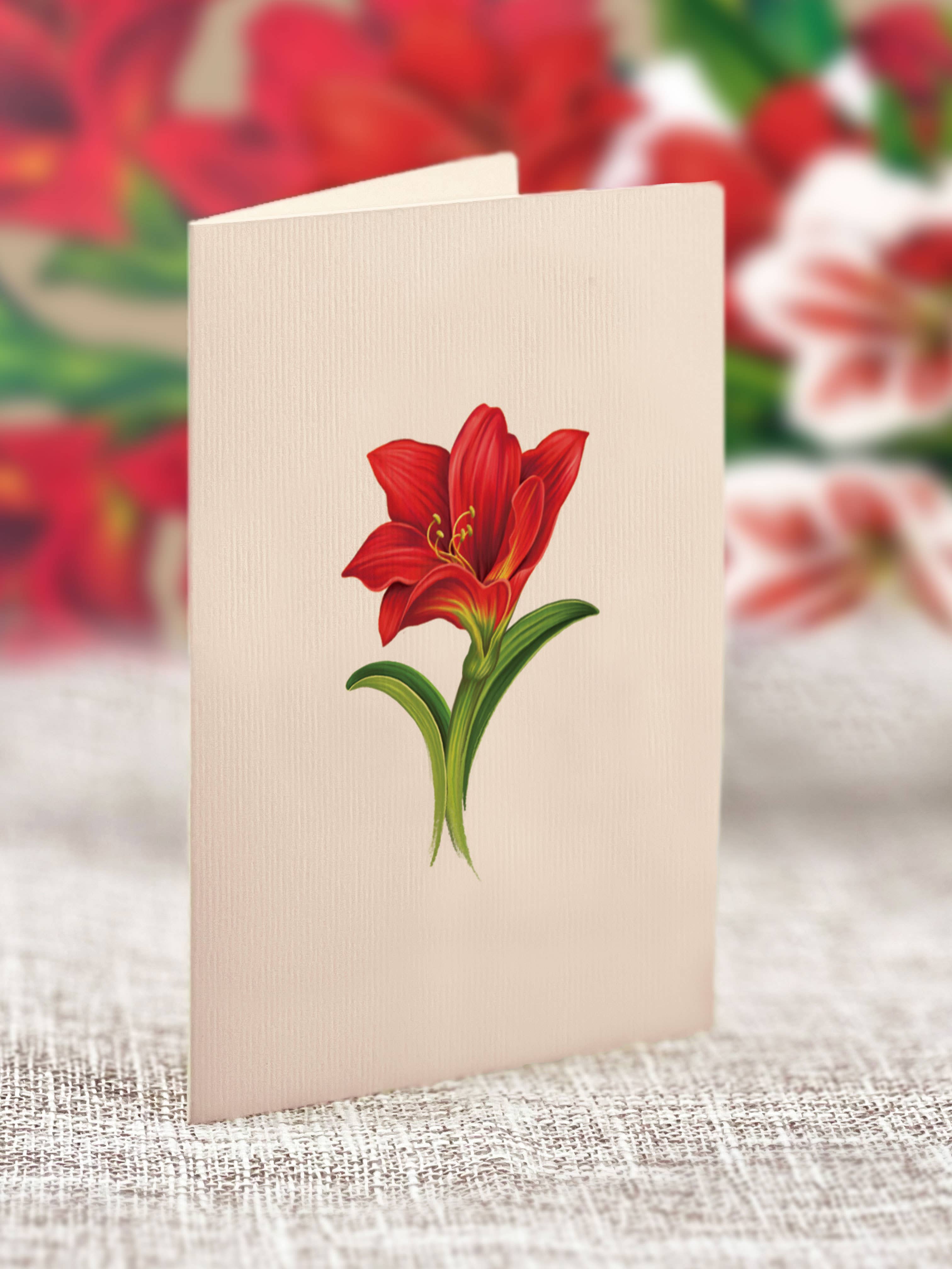 FreshCut Paper LLC - Wholesale Everyday Greeting Card - Mini Scarlett Amaryllis  (10 Pop-up Greeting Cards)6