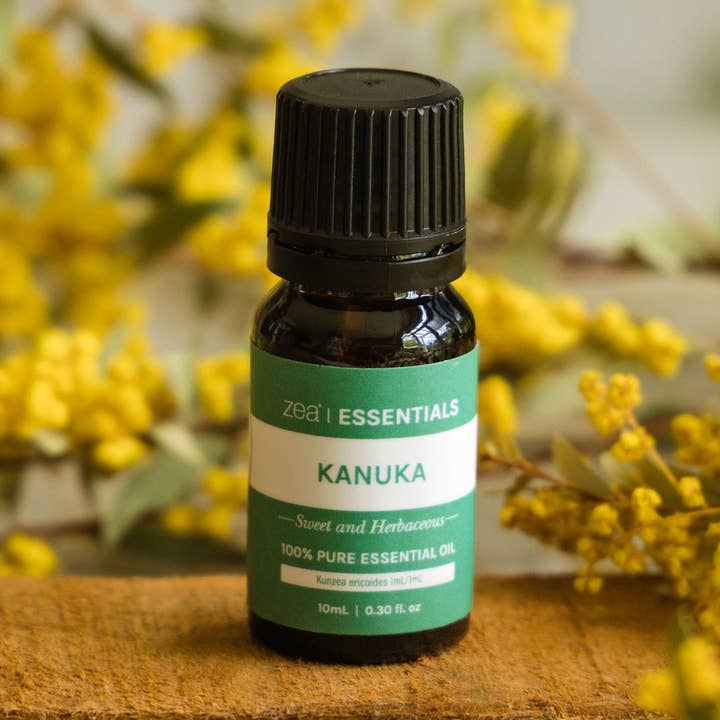 Olio essenziale di Kanuka per la vendita all'ingrosso da parte di Zea