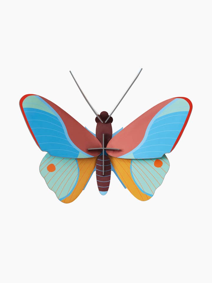 3D Wall Art - Butterfly - Claudina Butterfly for wholesale by Studio Roof