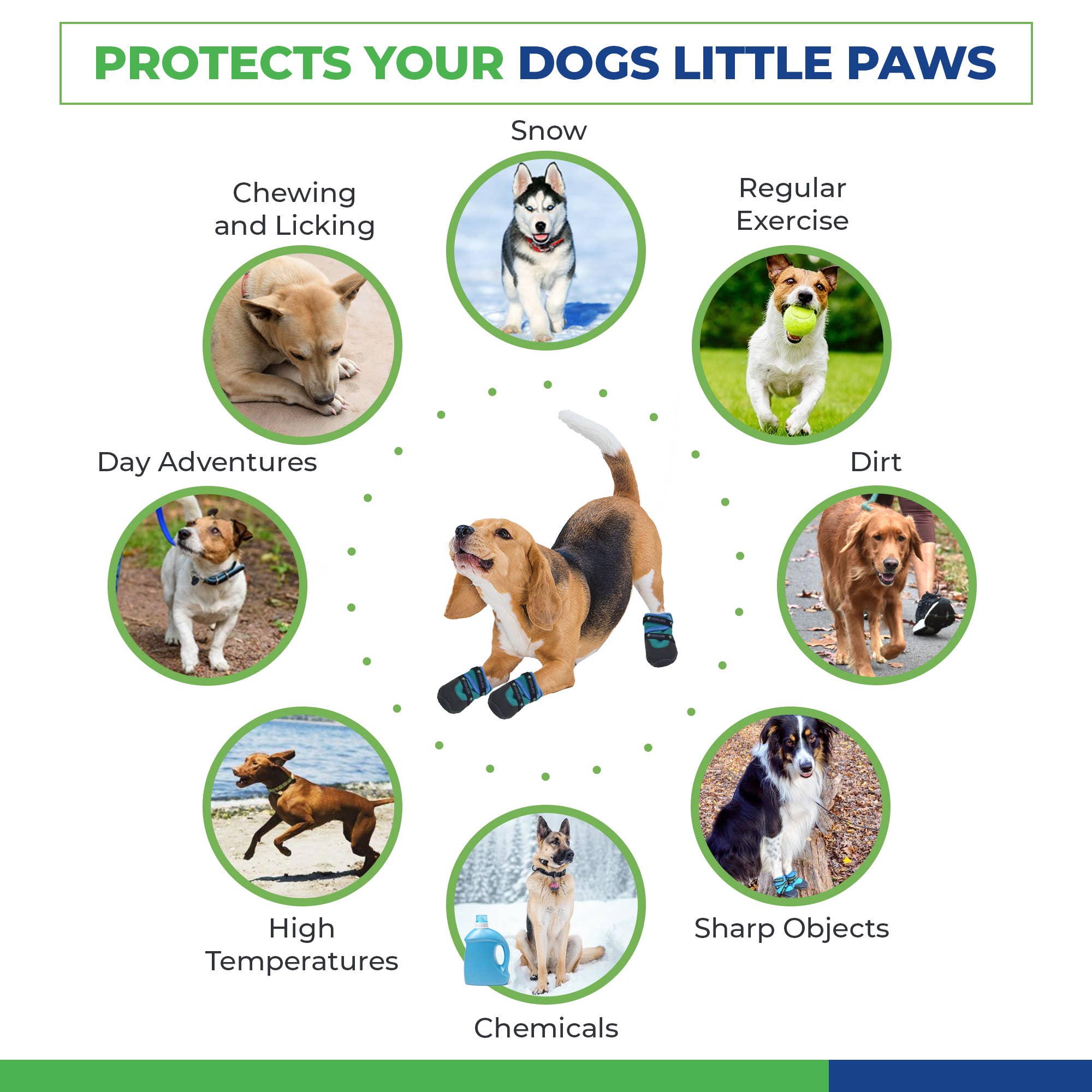 Healers PetCare – wholesale Pet paw protection – URBAN WALKERS III- TEAL6