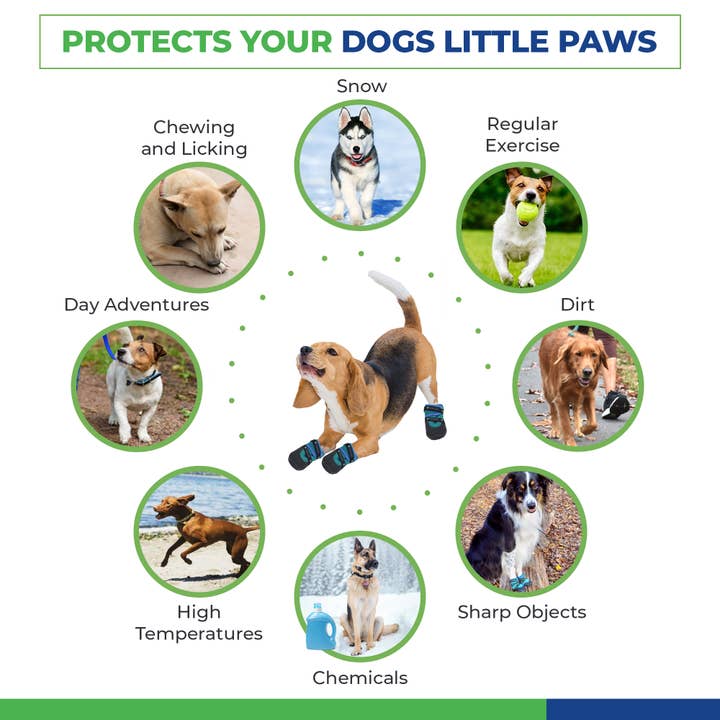 Healers PetCare – wholesale Pet paw protection – URBAN WALKERS III- TEAL6