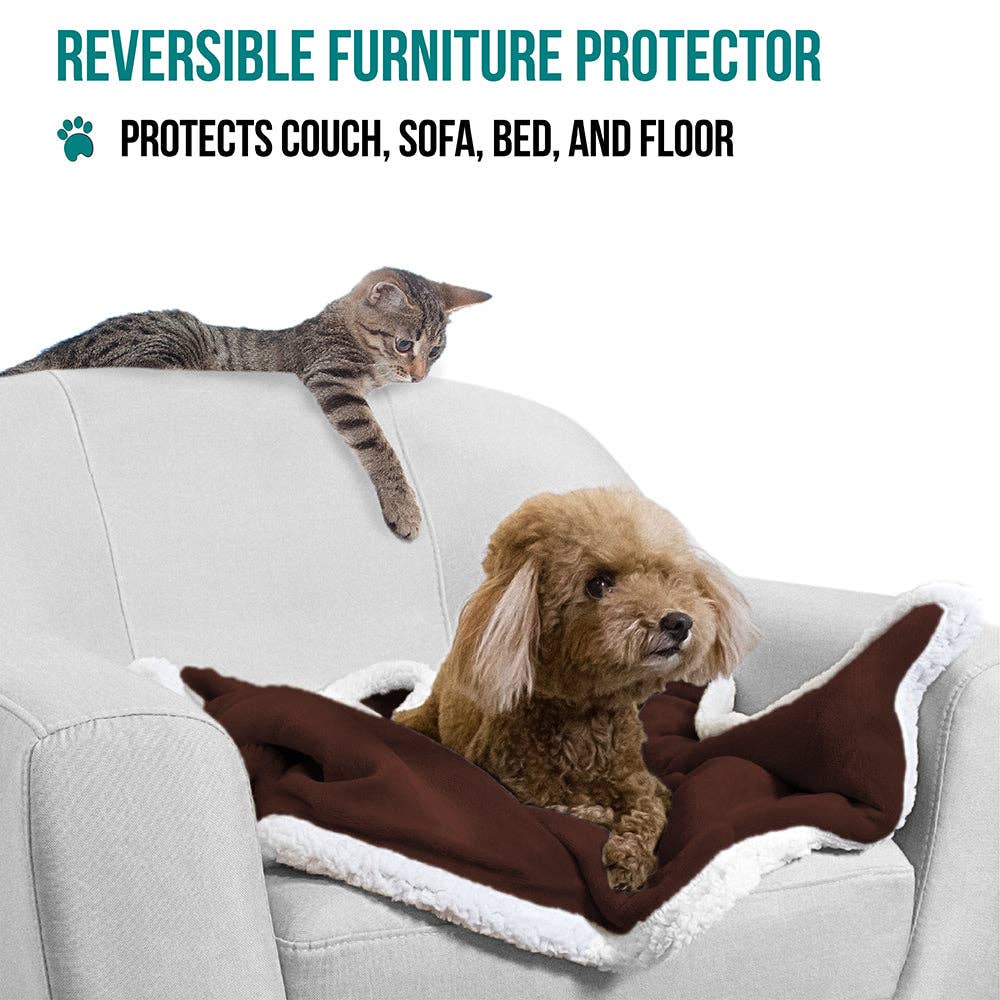 PetAmi - Vente Couverture – chat et chien - Couverture pour animaux en polaire réversible31