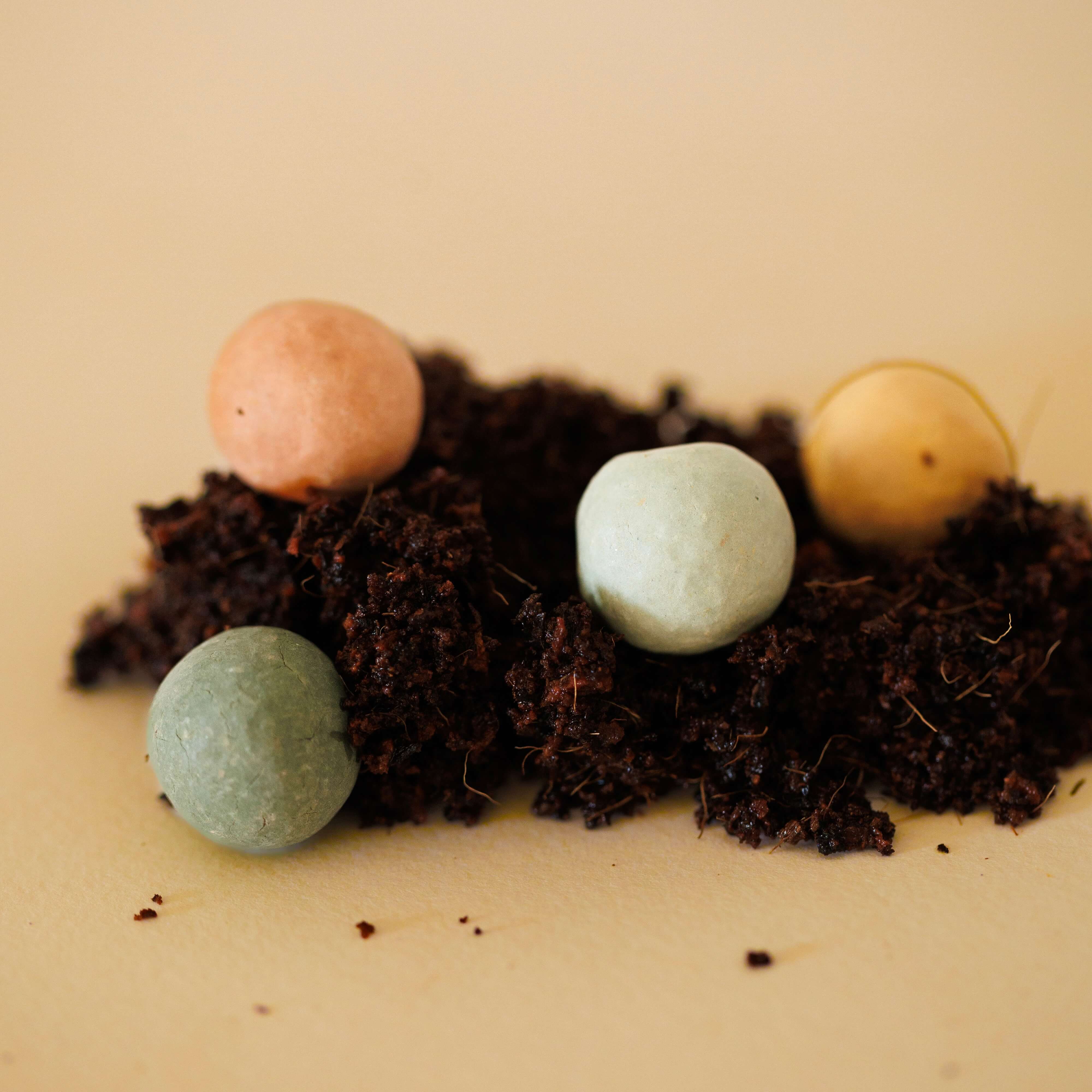 Flowrette - Wholesale Plant Seeds - Planting kit7