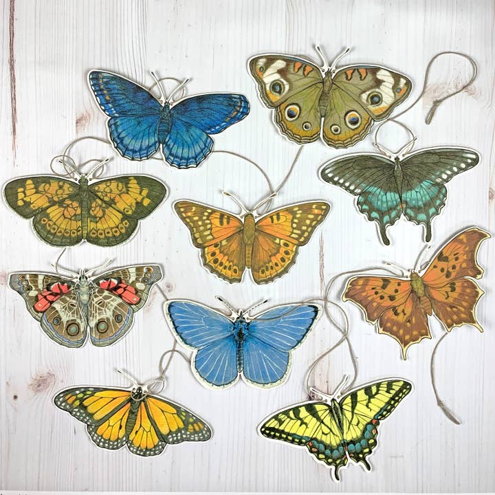 Sarah Draws Things - Wholesale Bunting/Garland - Eastern U.S. Native Butterfly Illustrated Garland