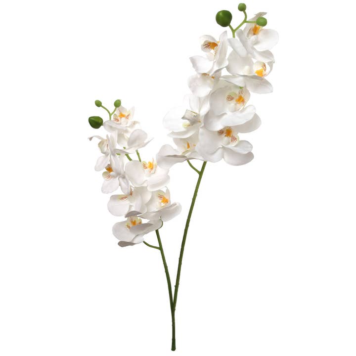 22" Phalaenopsis 16 Flowers, 6 Buds - White Faux for wholesale by Larksilk