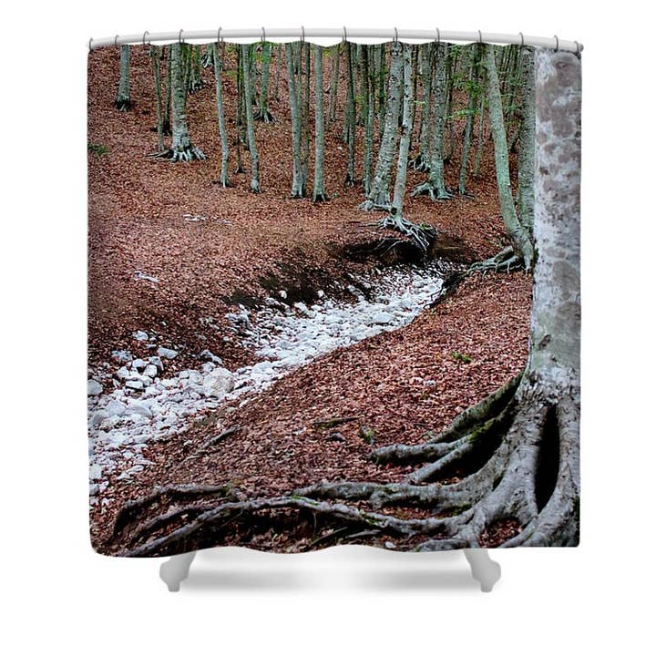 CORTINA DE DUCHA THE TREE'S ROOT para venta al por mayor de sorayadapuzzostore