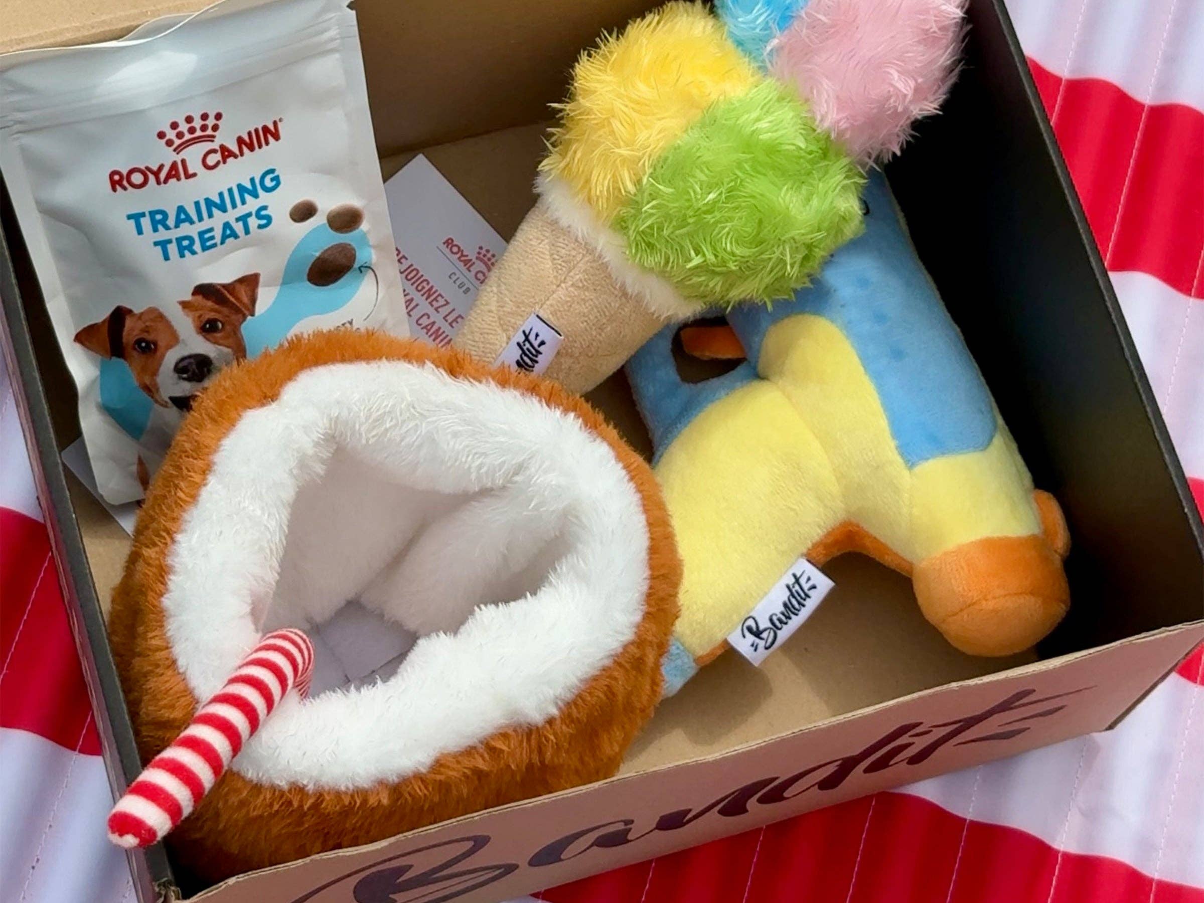 French Bandit - Wholesale Pet Toy - Dog - Dog water gun toy1