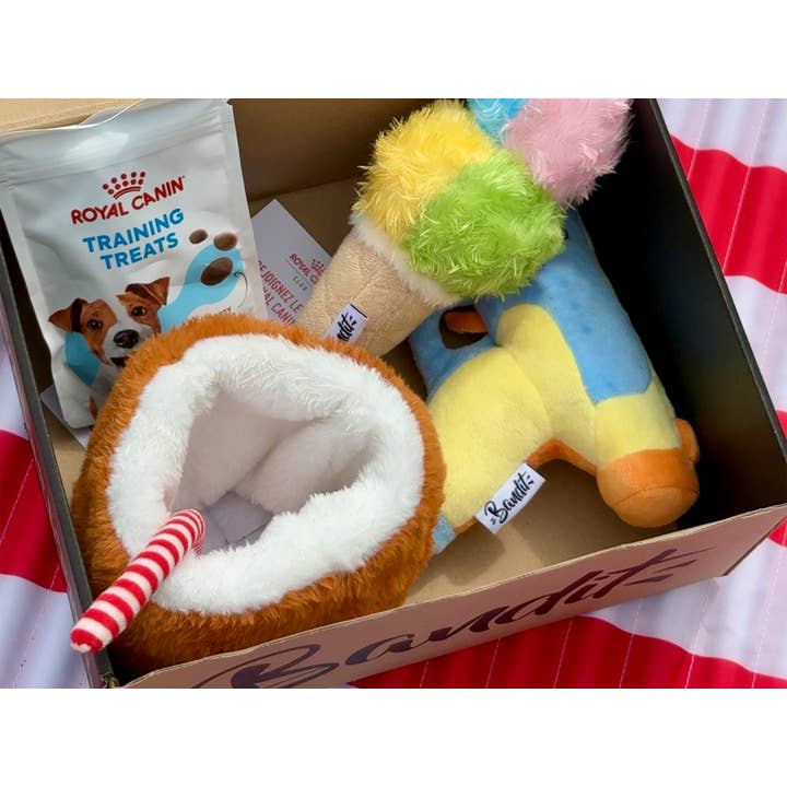 French Bandit – Großhandel Haustierspielzeug – Hund – Wasserspielzeug für Hunde in Wasserpistolen-Optik1