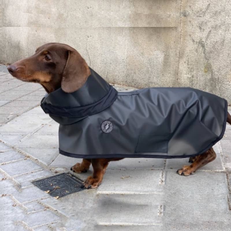 tQel dog trends - Wholesale Pet Raincoat - Dog - Tintin Zero Black dog raincoat2