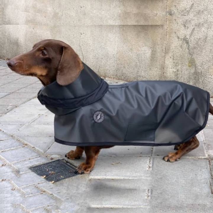 tQel dog trends - Wholesale Pet Raincoat - Dog - Tintin Zero Black dog raincoat2