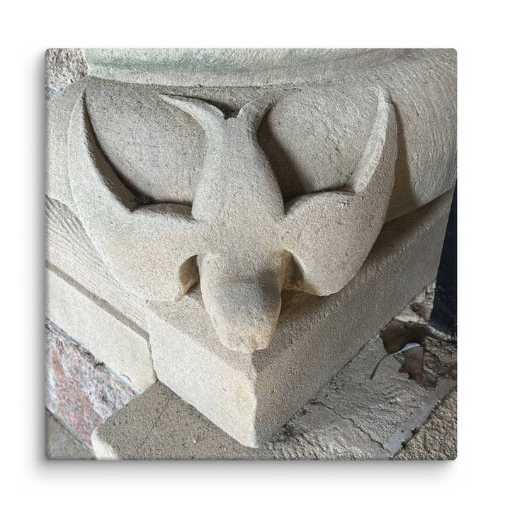 Stone Dove on Canvas - Scottish Collection for wholesale by Astoria Traveler