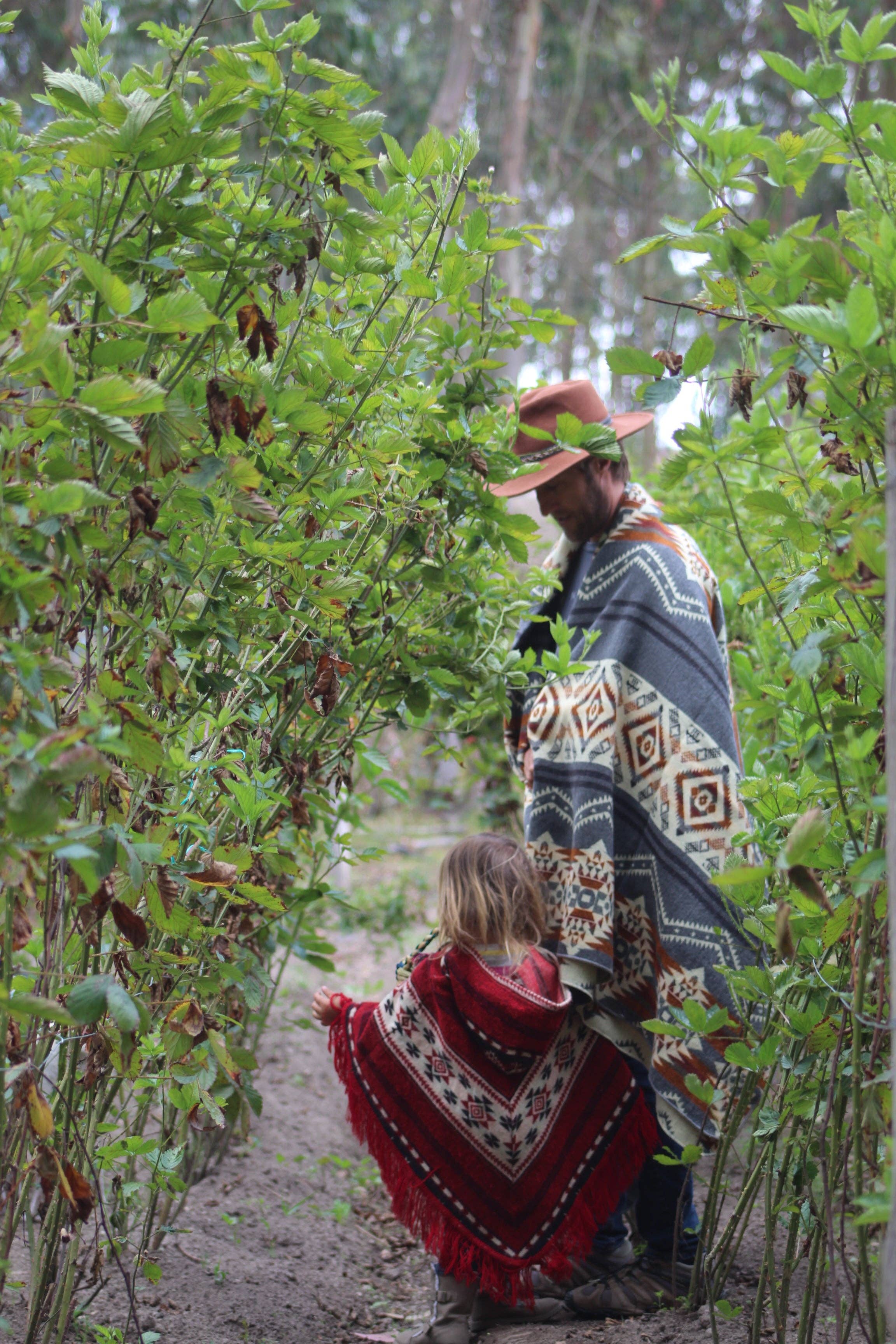 Grey The Vulcan Alpaca Blend Blanket for wholesale on Faire2