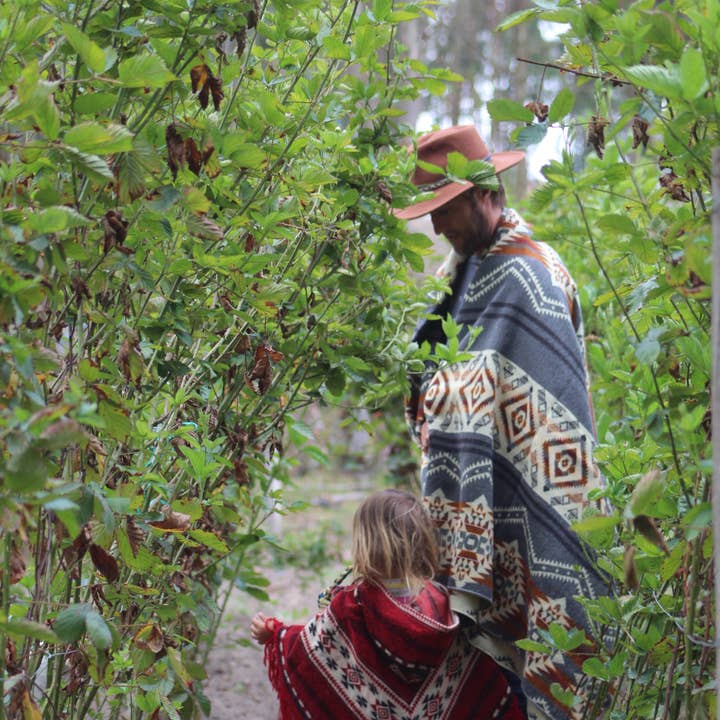 Grey The Vulcan Alpaca Blend Blanket for wholesale on Faire2