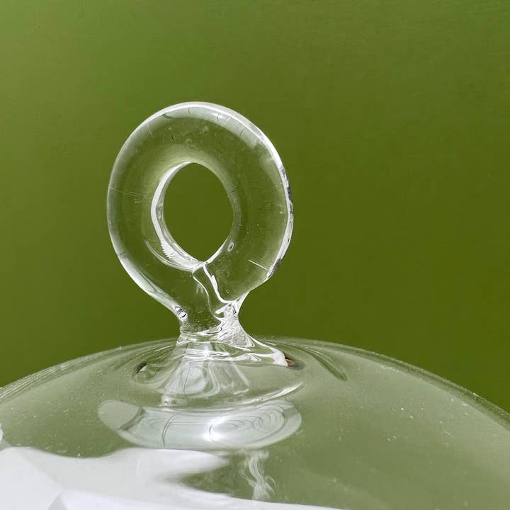Mystical Woodlands - Wholesale Terrarium - Round Glass Orb Terrarium Planter with Hanging Hook