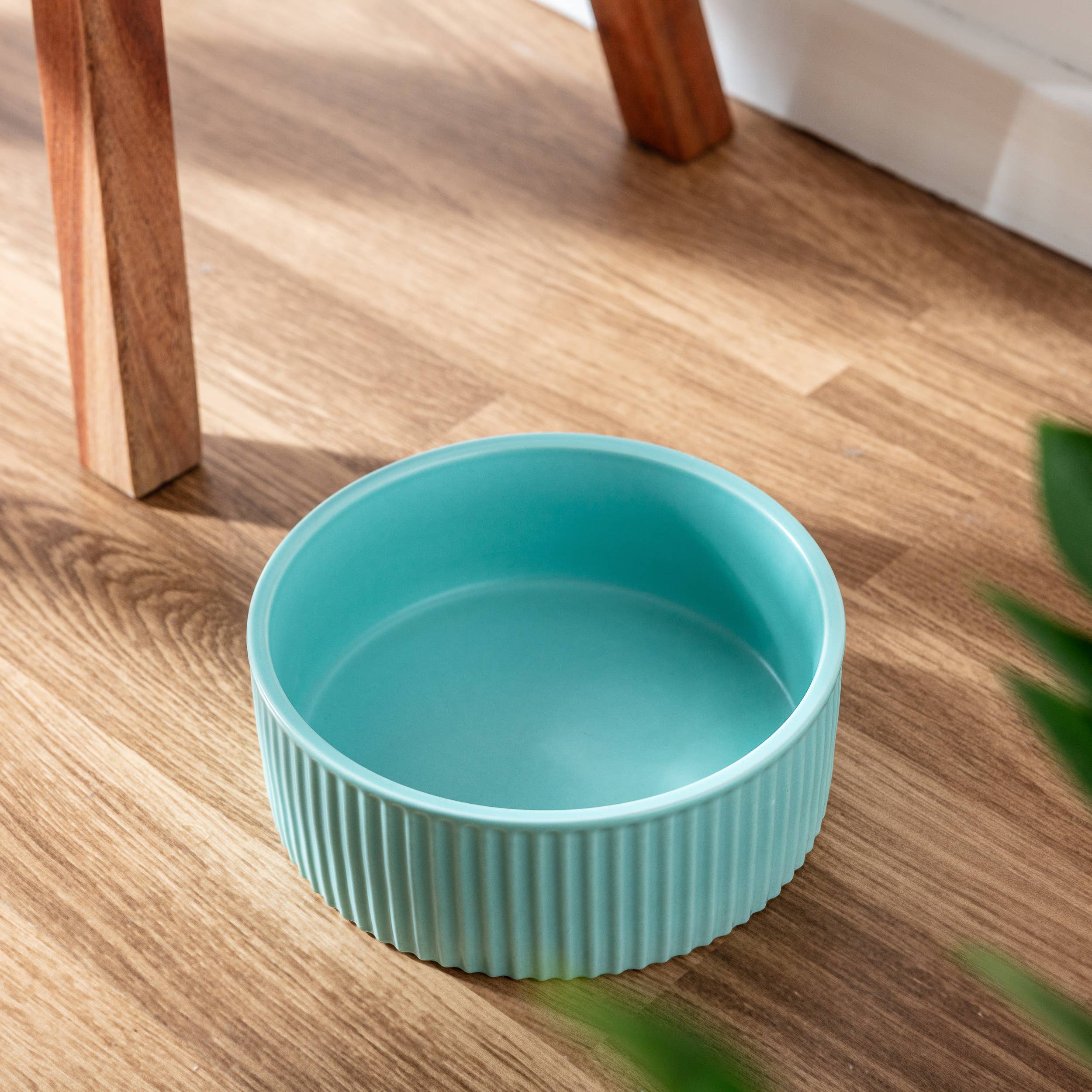 Park Life Designs - Wholesale Pet Bowl - Cat/Dog - JARDIN Ribbed Pet Bowl Collection – Modern Matte Exterior3
