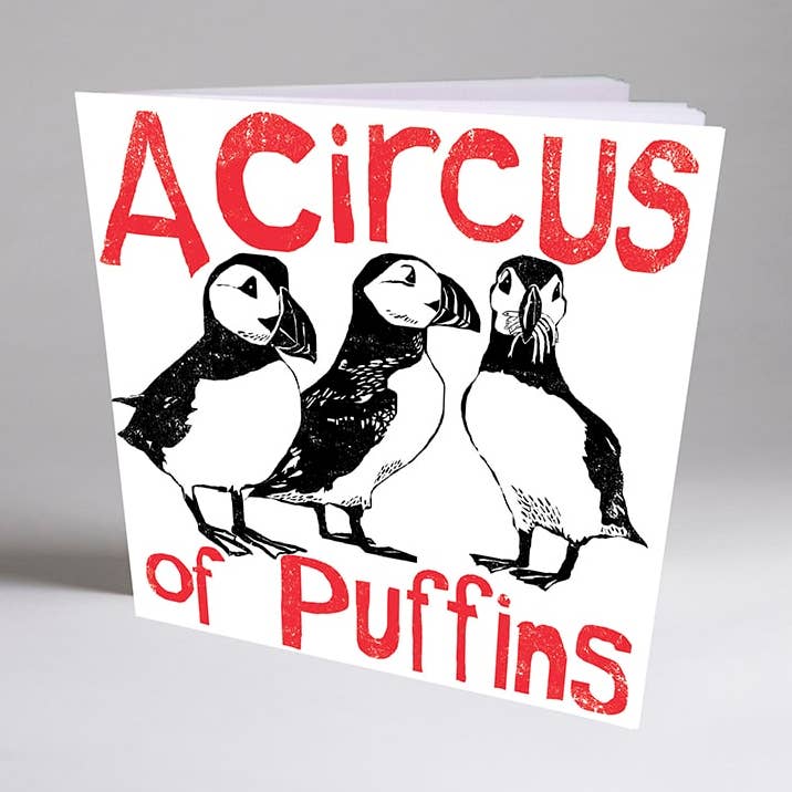 circus of puffins notebook for wholesale by Perkins & Morley