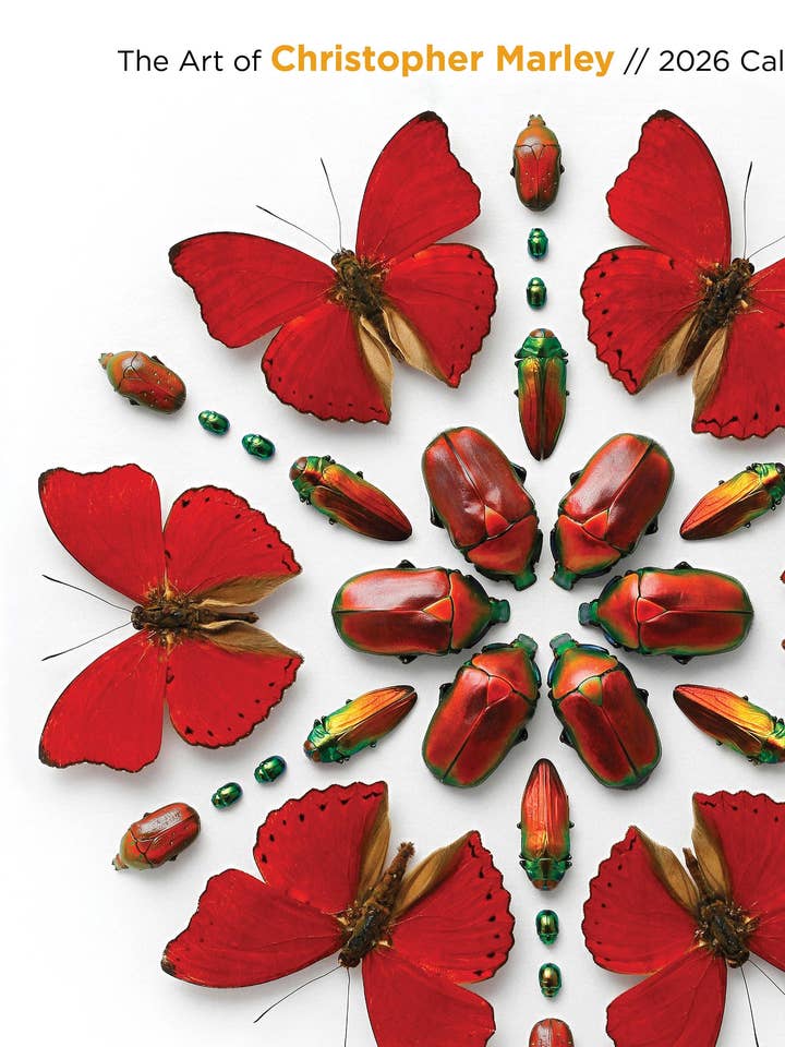 Exquisite Creatures: The Art of Christopher Marley 2026 Wall Calendar for wholesale by Pomegranate