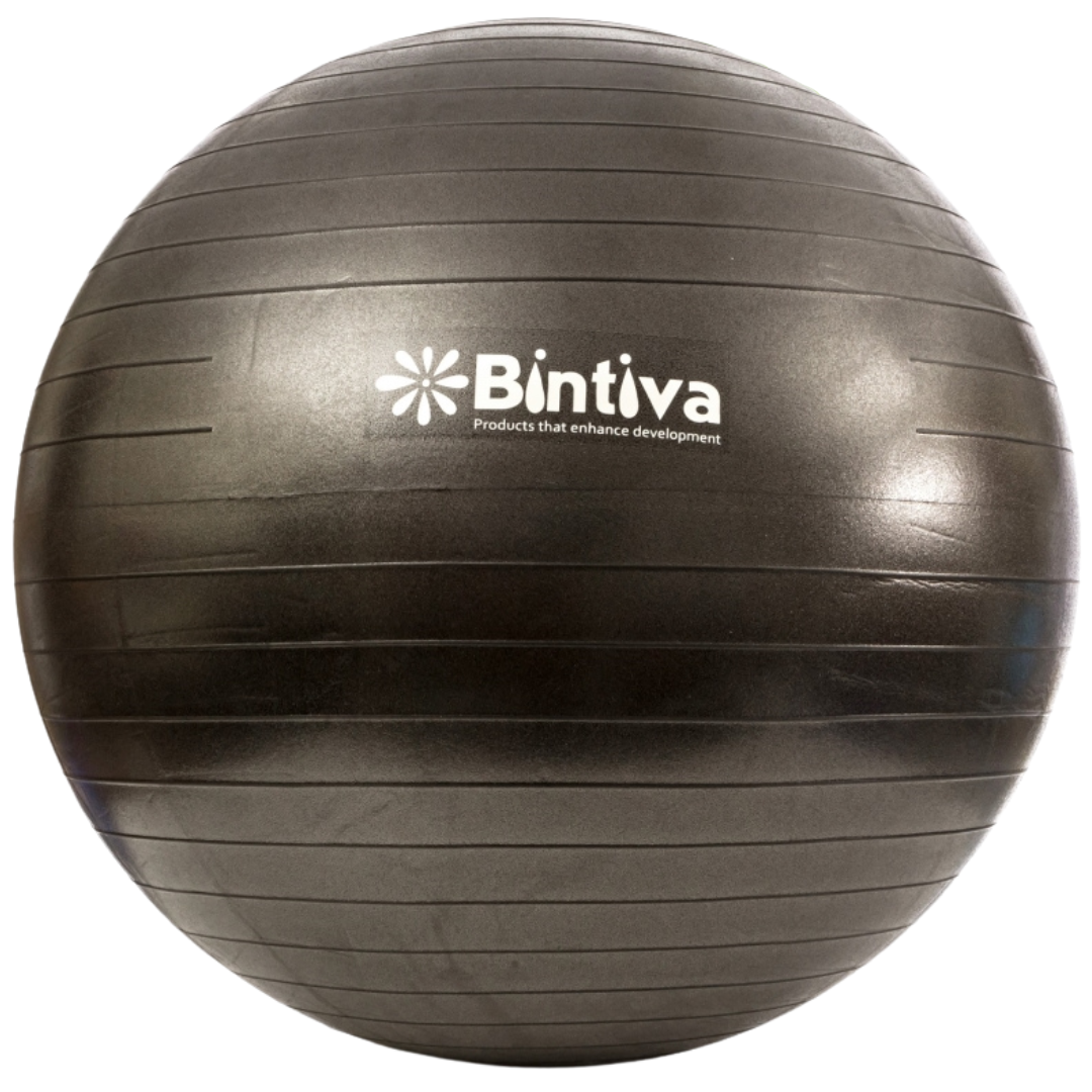 Bintiva - Wholesale Fitness Equipment - Bintiva Anti-burst Fitness Exercise Stability Yoga Ball10