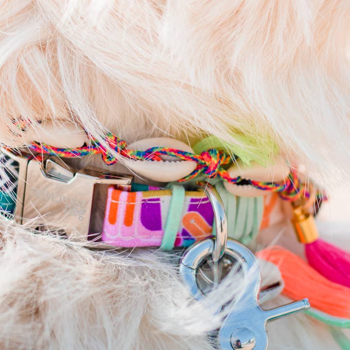 Frimousse Dog - Wholesale Pet Collar - Dog - “Undy” summer colorful adjustable dog collar