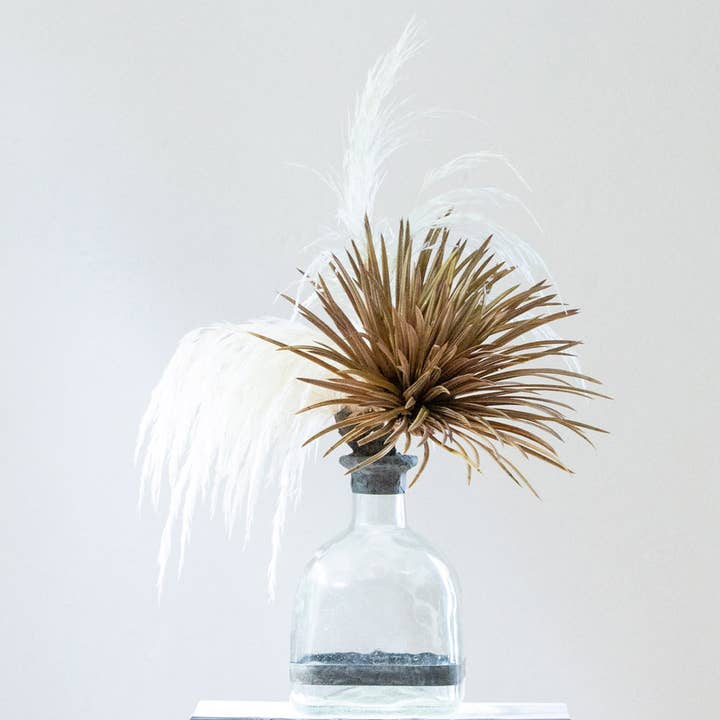 Botella Pampas para venta al por mayor de Jamie Dietrich Designs