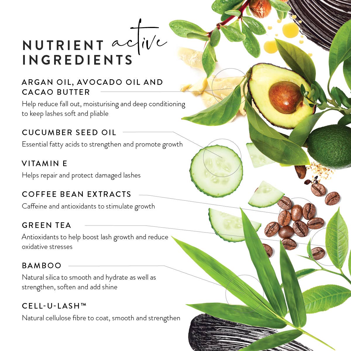 LÜK BEAUTIFOOD [🇦🇺 AUS + USA🇺🇸] - Wholesale Mascara - Lash Nourish Mascara™  - Black Tea 10ml6