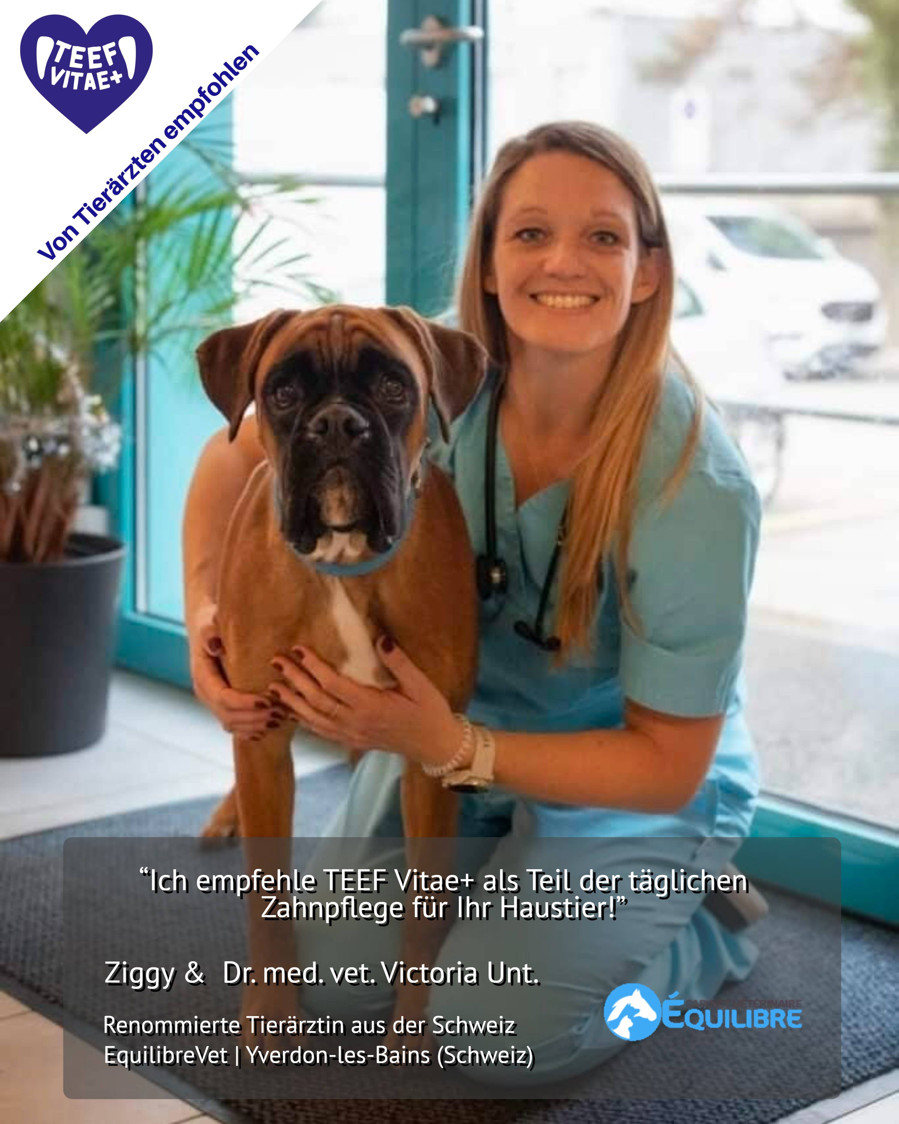 PerAnimal - Wholesale Pet Supplement - Cat/Dog - TEEF Vitae+ | Healthy dental care while drinking for dogs & 4