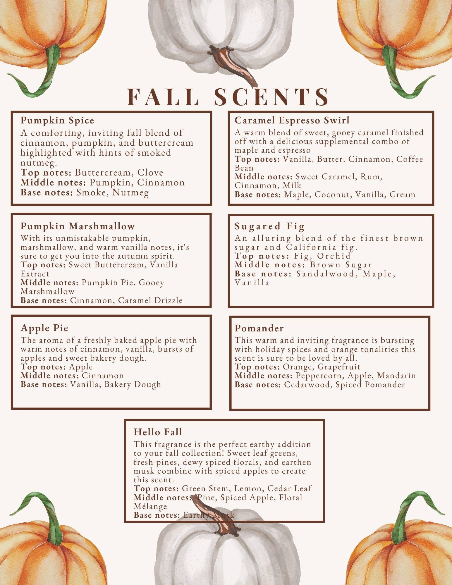 Nature's Elements – Großhandel Schmelzwachs – Wax Melt Quetschbare Herbstdüfte2