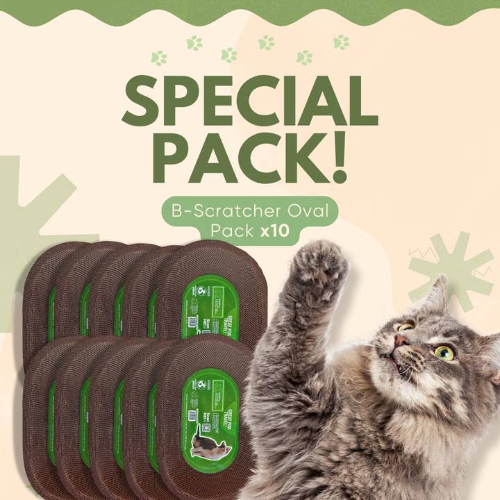 Designer Pet Products, LLC - Wholesale Pet Scratcher - Cat - Cat Scratcher Oval Pad - 10 Pack Box