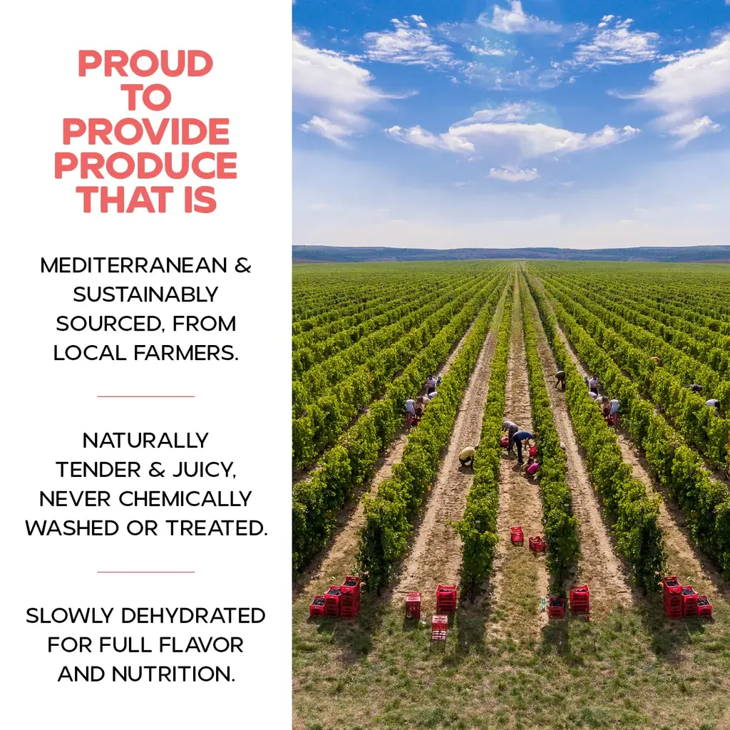 Biggbrands GmbH - Wholesale Fruit Snacks - Drybox Dry fig - pillow pack (56gr) 2OZ7